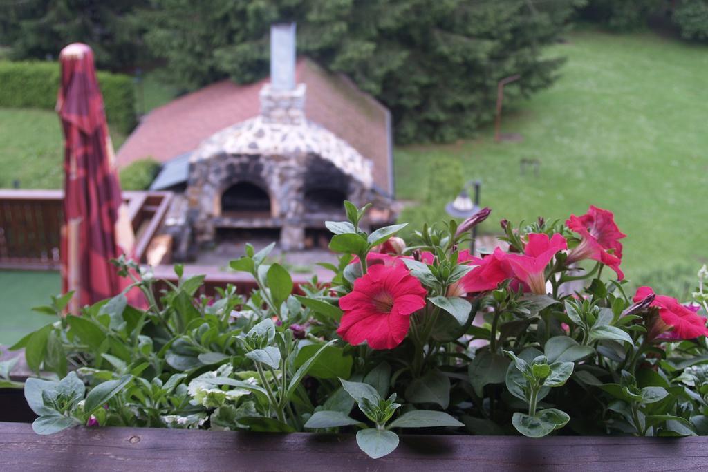 Hotel Pavla Vysocina Nove Mesto na Morave Habitación foto